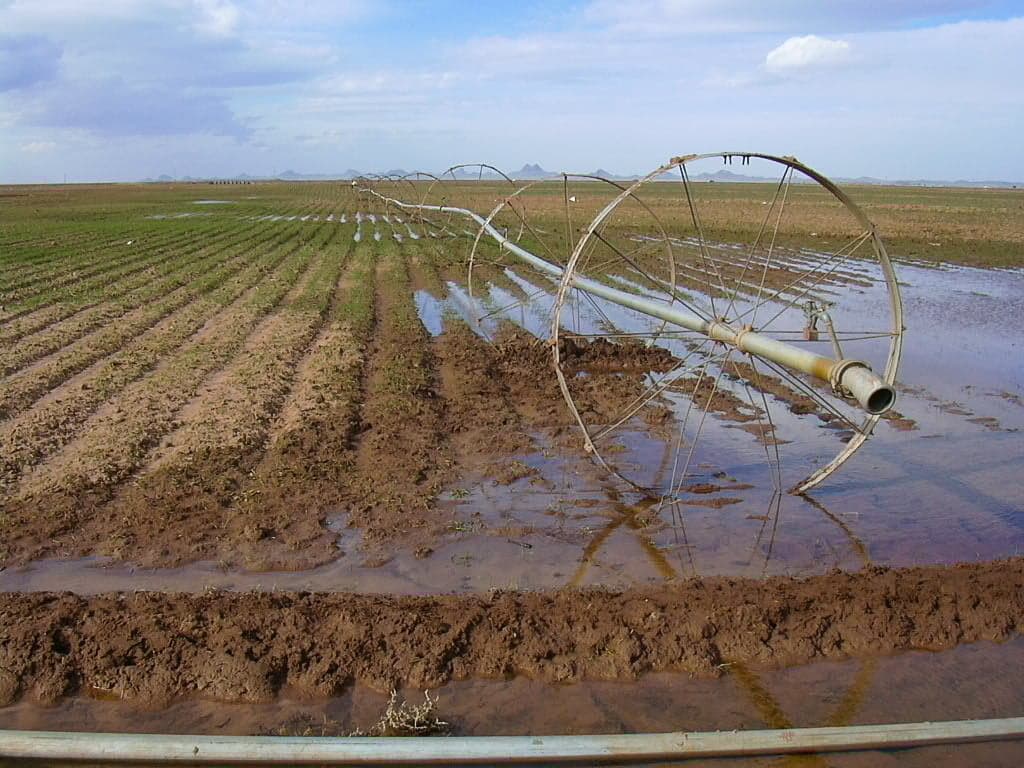 Expert Drainage Services in Springtown , TX Tailored to Your Landscape Needs