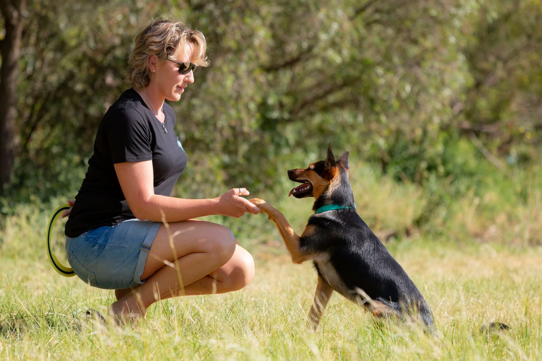 Dog Owner Education Programs Arizona Guide 2026