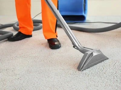 Restore Beauty with area rug cleaning south austin tx Specialists