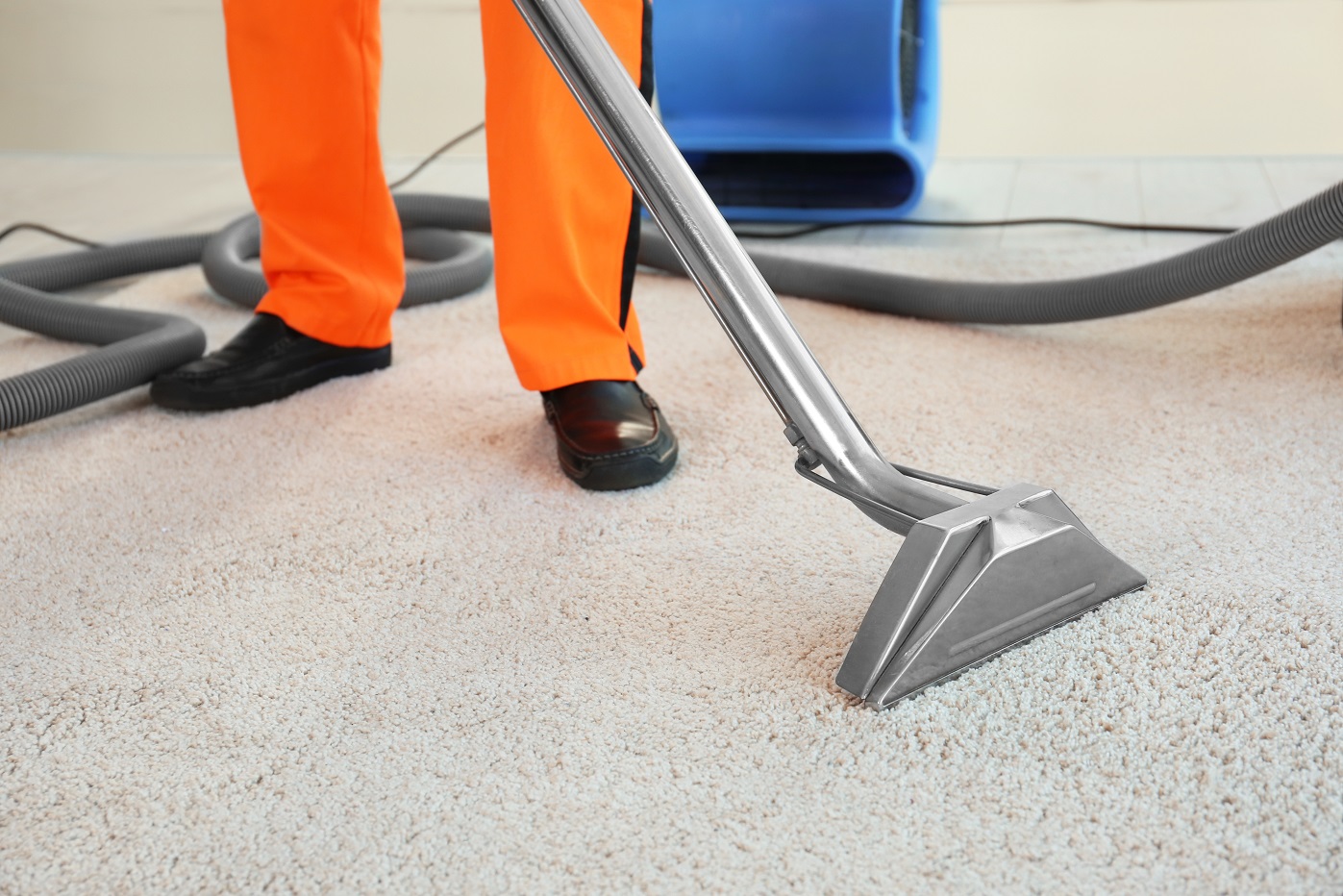 Restore Beauty with area rug cleaning south austin tx Specialists