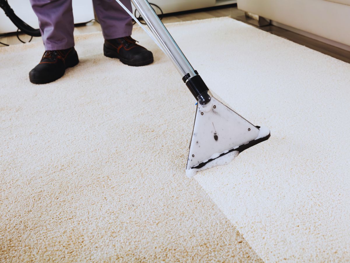 Restore Beauty with area rug cleaning south austin tx Specialists